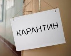 Всем въезжающим в страну россиянам устроят карантин