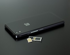 Вот мой паспорт — усы, лапы, хвост и SIM-карта