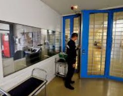 В Швейцарии россиянке дали пожизненное за убийство
