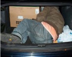 В Ленобласти ищут автомобиль с трупом в багажнике