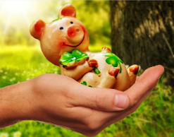 Какую Свинью подложит нам Новый 2019 год?