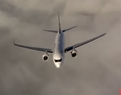 Собака: остановите самолет над Москвой - я слезу